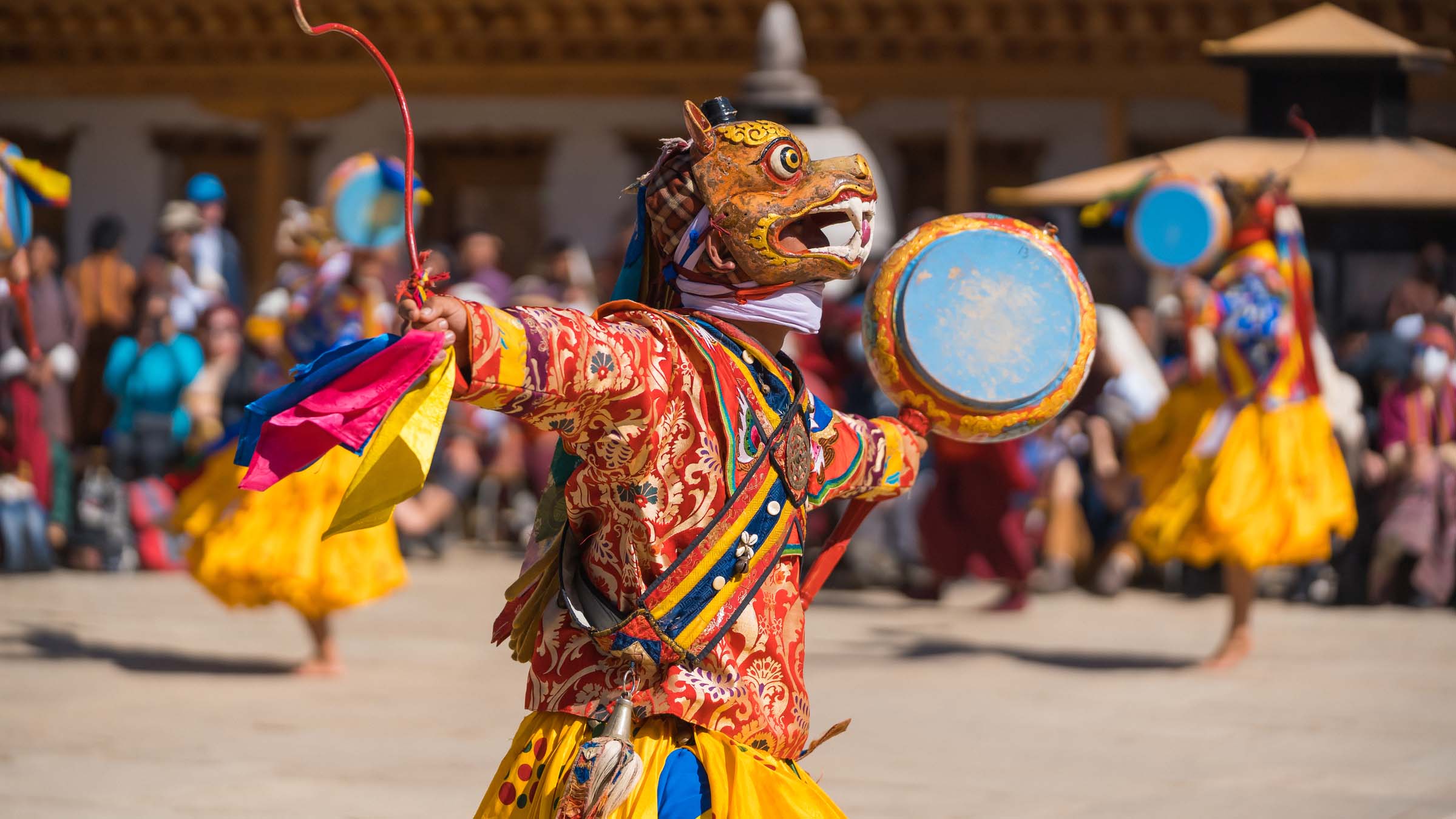 Festival Tours