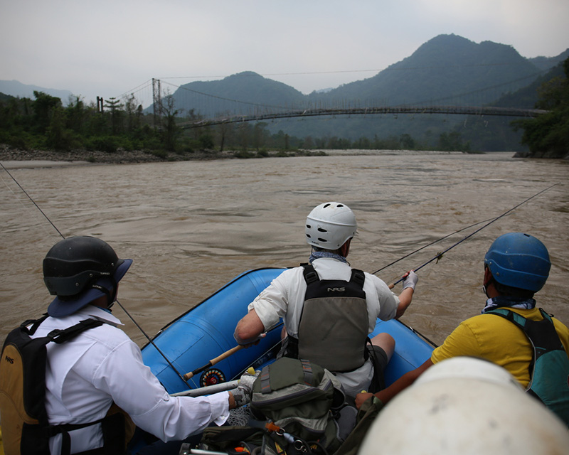 Mahseer & Trout Week